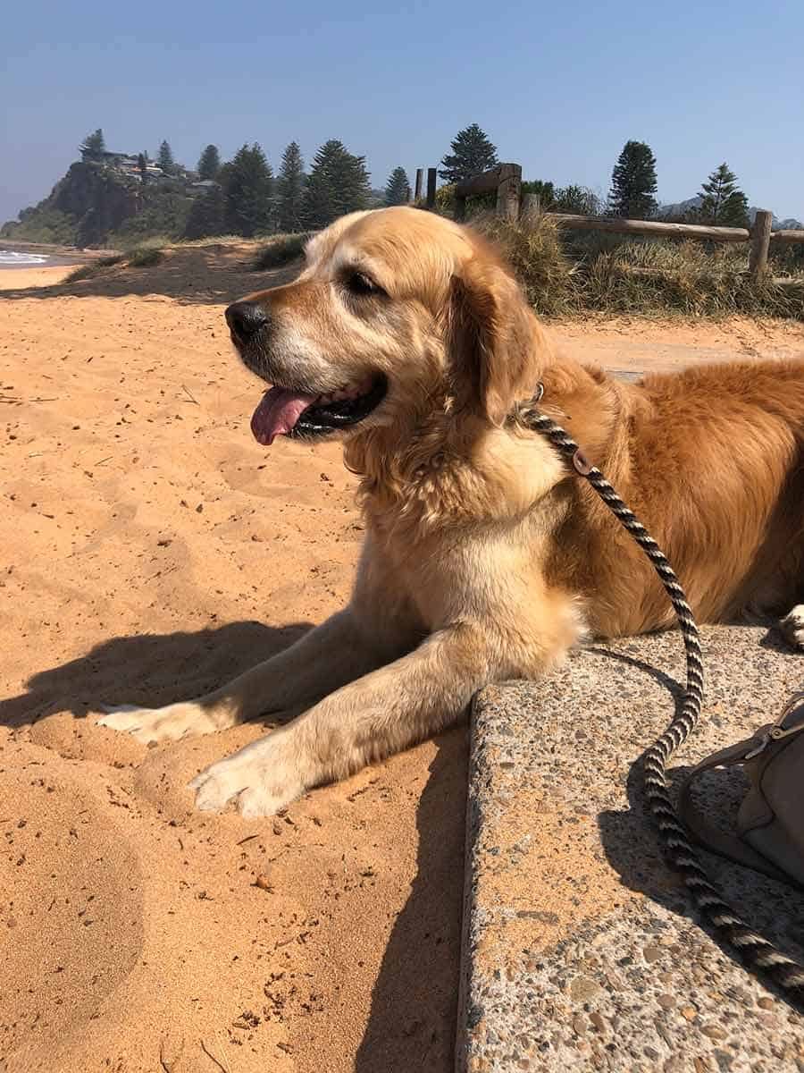 Dozer half on sand at Newport Beach