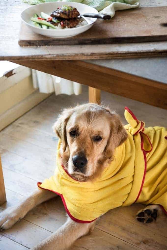 Dozer Asian Marinated Chicken_1