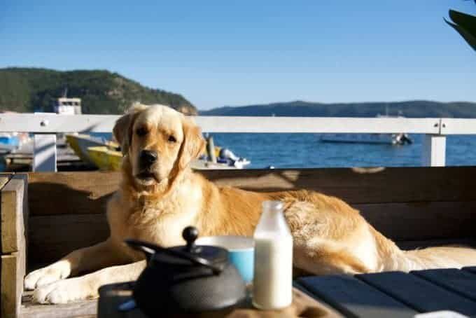 dozer-boatshed-palm-beach