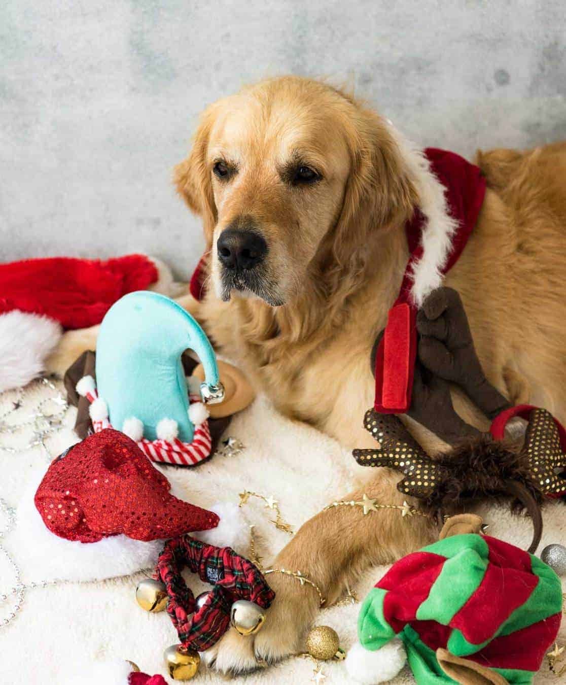 Dozer Christmas accessories