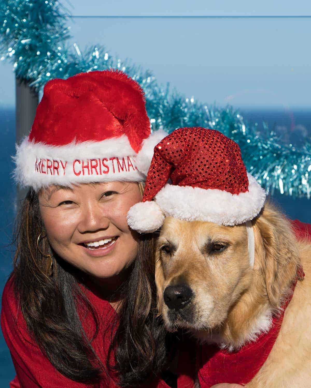 Nagi and Dozer the golden retriever dog_Christmas 2018