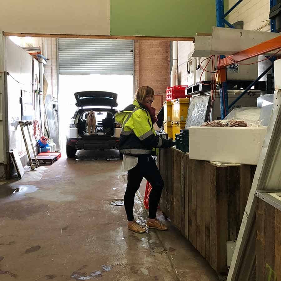 Dozer the golden retriever dog in The Free Range Butcher warehouse - Mona Vale
