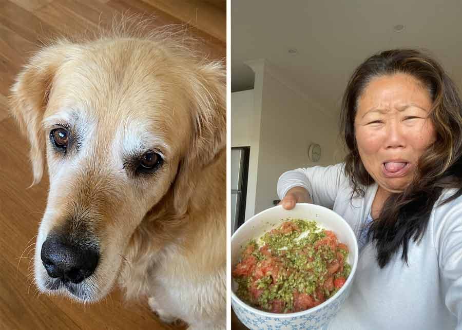 Dozer-food-flew-in-Nagi-mouth