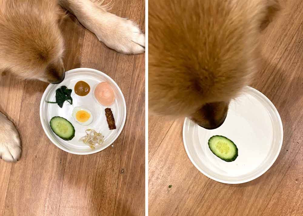 Dozer Gado Gado before and after