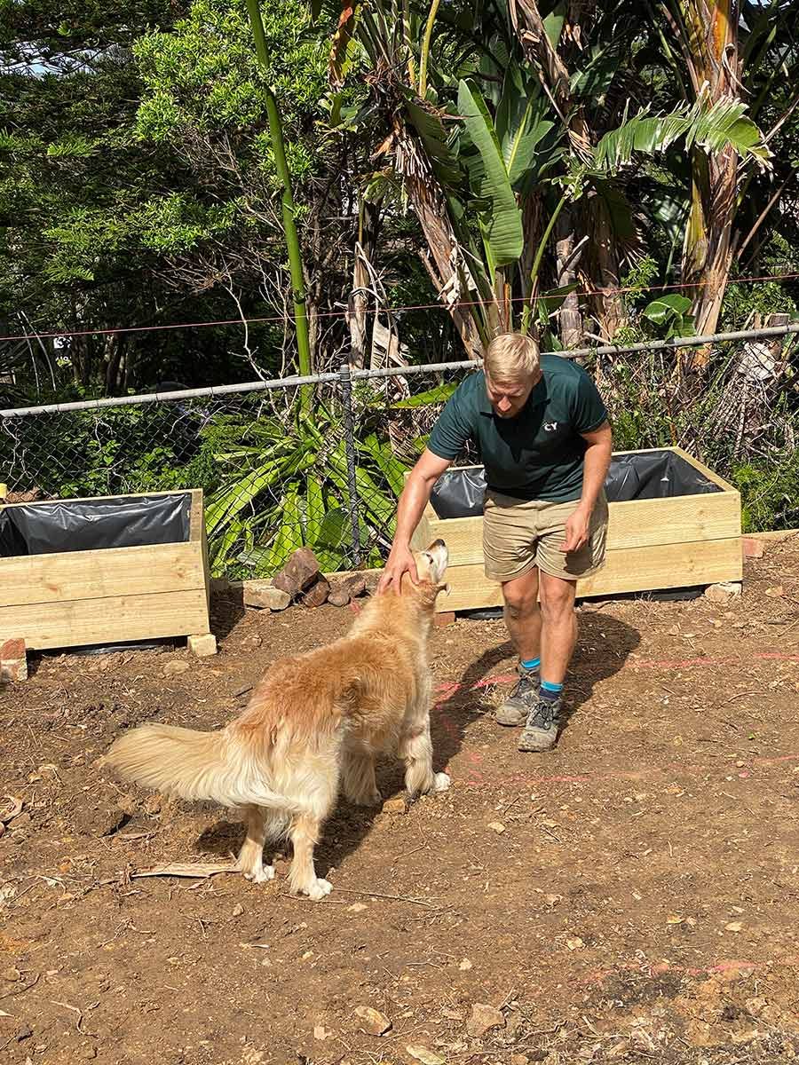 Dozer getting pats from landscape gardener