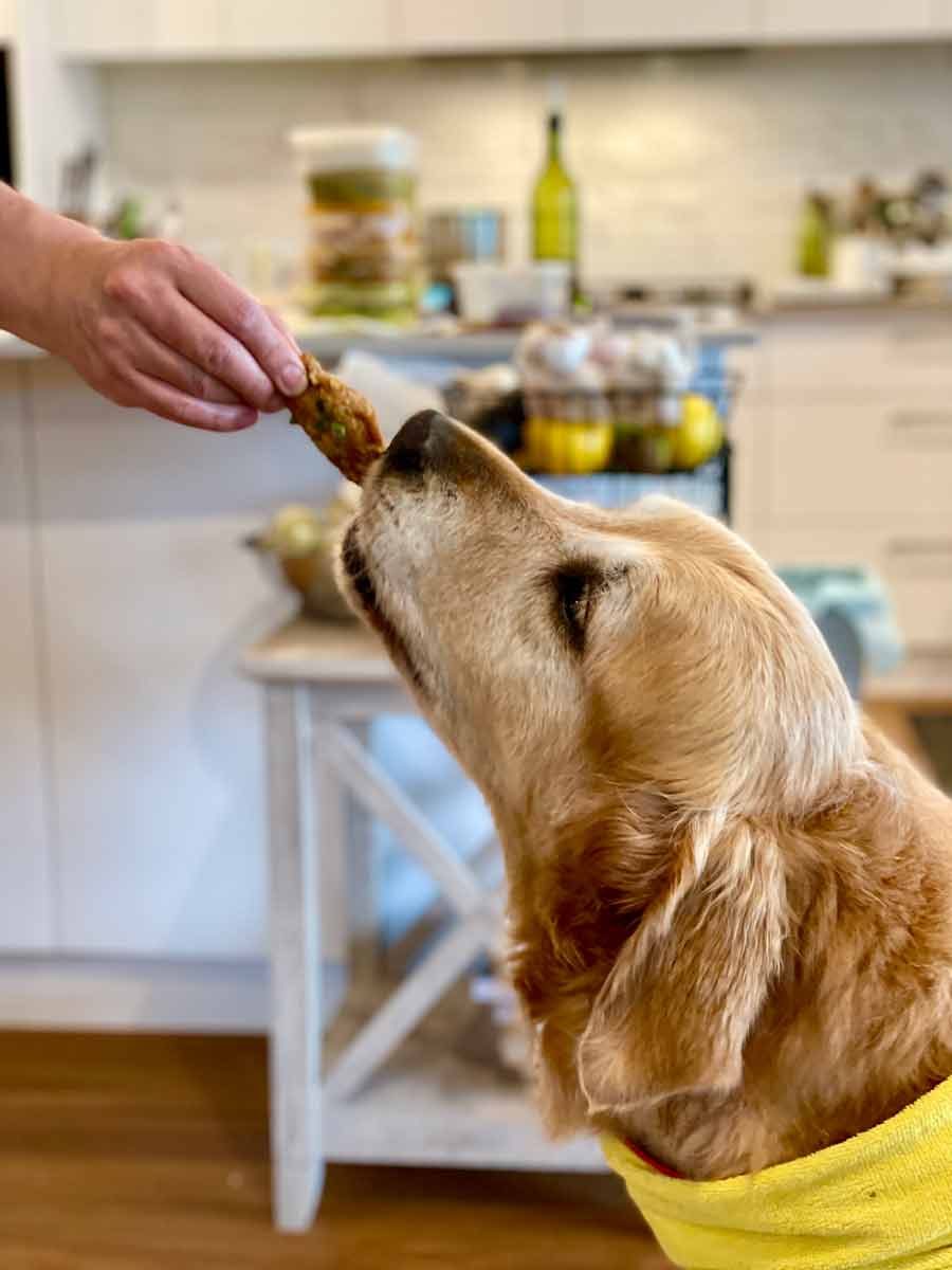 Dozer on the job - Making of a cookbook