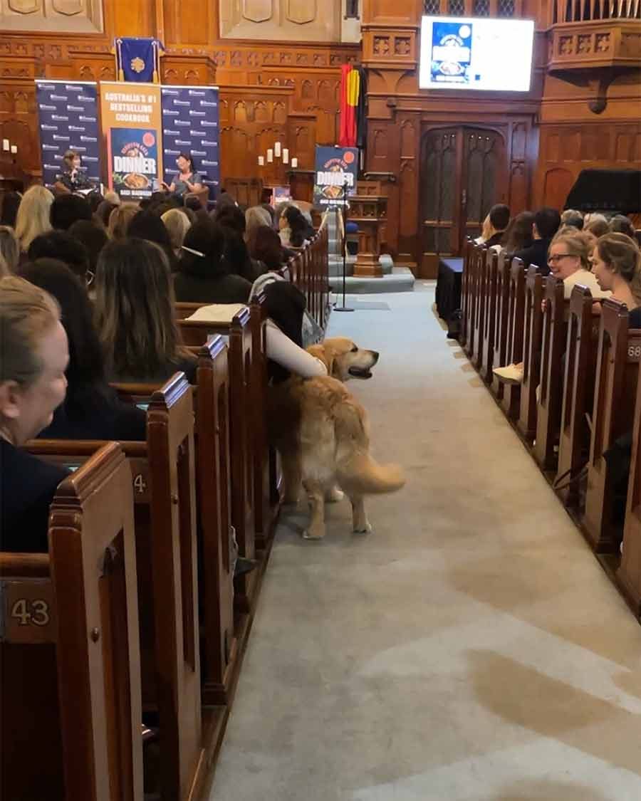 Dozer at Kinokuniya book tour event