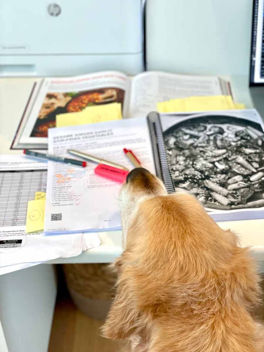 Dozer helping with Americanisation of the RecipeTin Eats cookbook "Dinner" by Nagi Maehashi