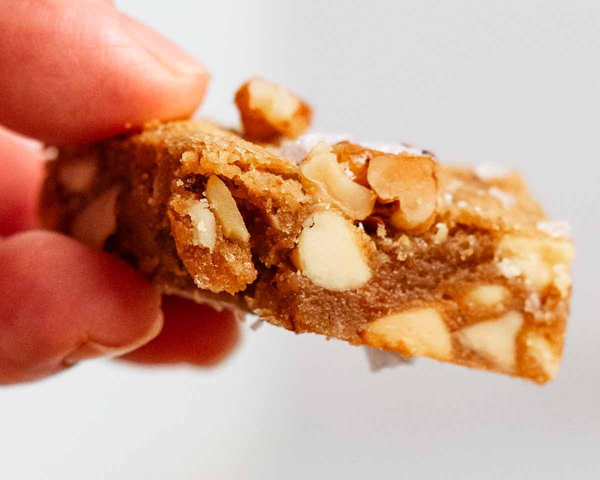 Hand holding a blondie