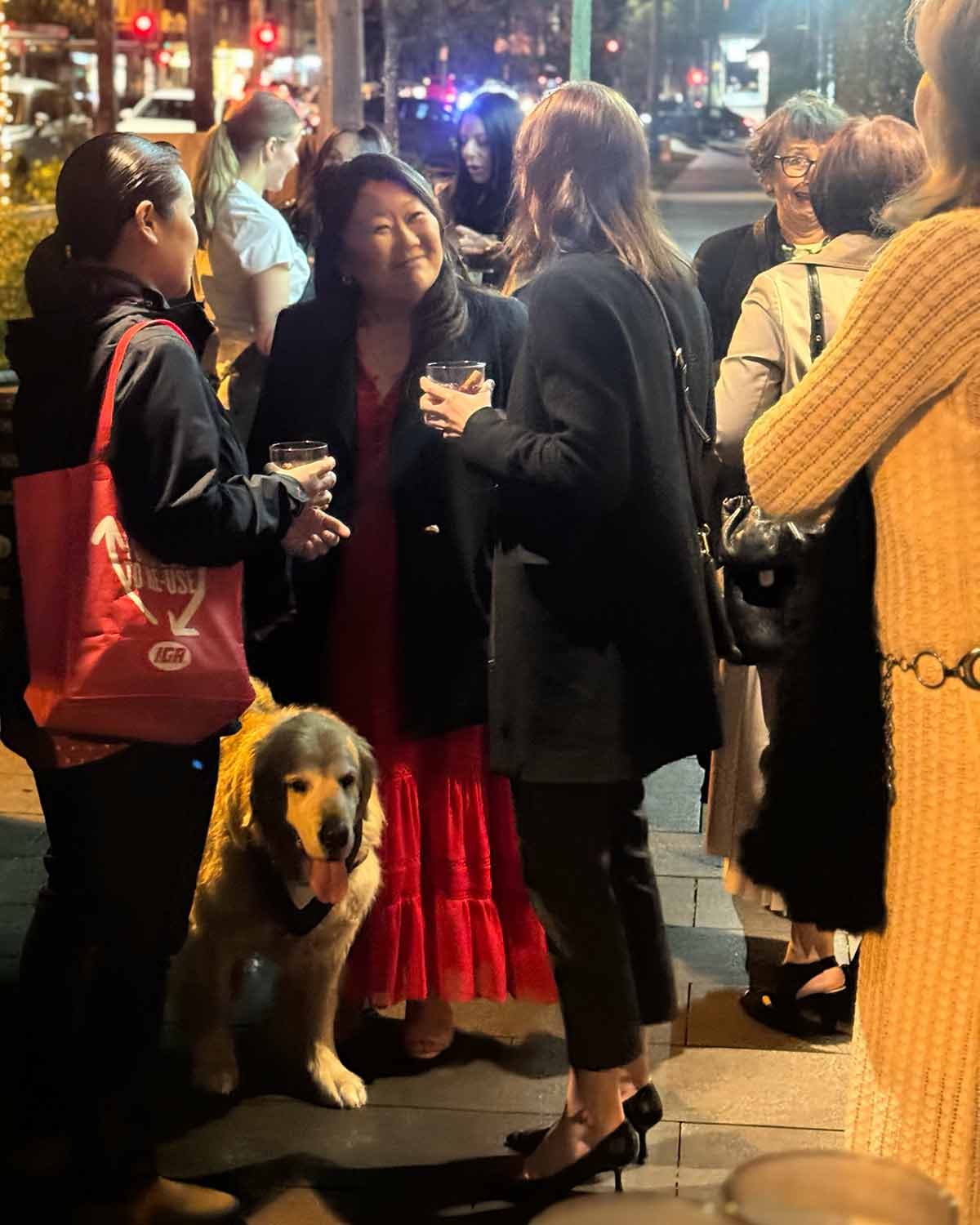 Boronia Kitchen Reader dinner Dozer